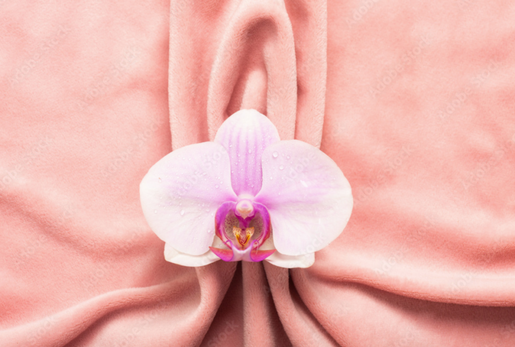 Pink orchid flower held between hands
