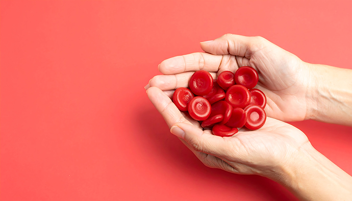 Hands holding fresh pomegranate seeds, an iron-rich food